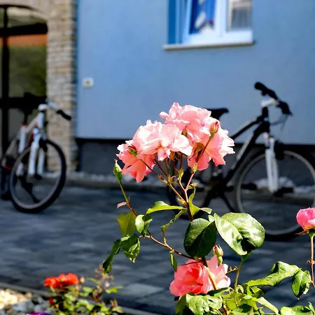 Istriatica, House For 18 + 2 Persons, 200 M From The Beach, Pool, Jacuzzi, Sauna Villa Medulin